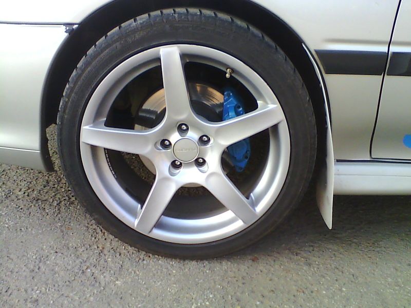IMG0017A3.jpg